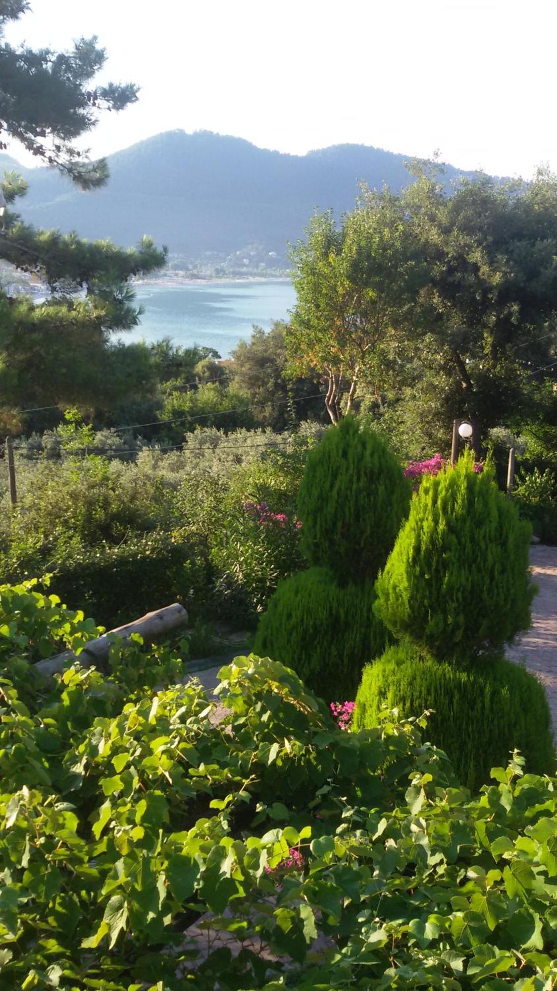 Villa Dimitra Skala Potamia (Thasos) Exterior foto