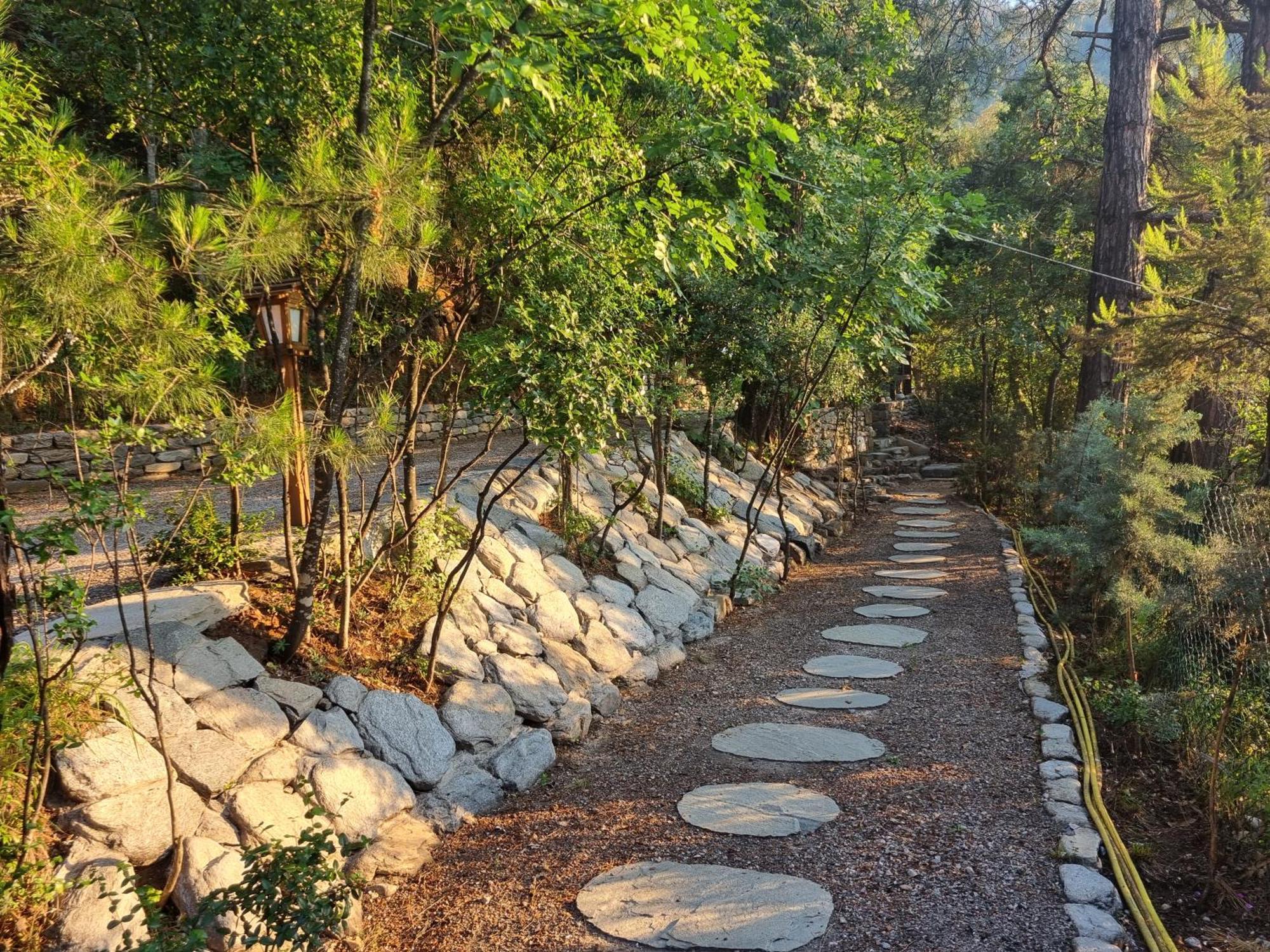 Villa Dimitra Skala Potamia (Thasos) Exterior foto
