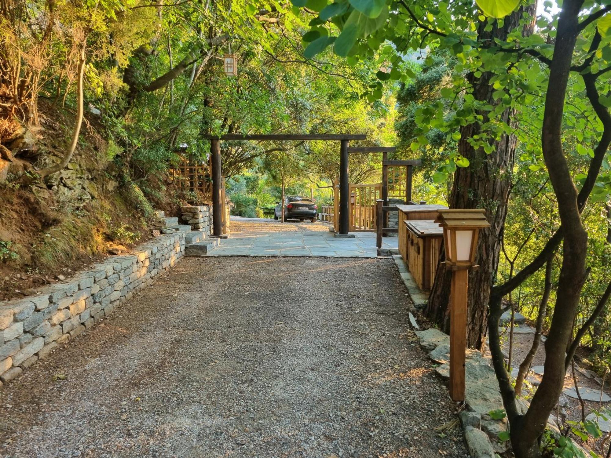 Villa Dimitra Skala Potamia (Thasos) Exterior foto